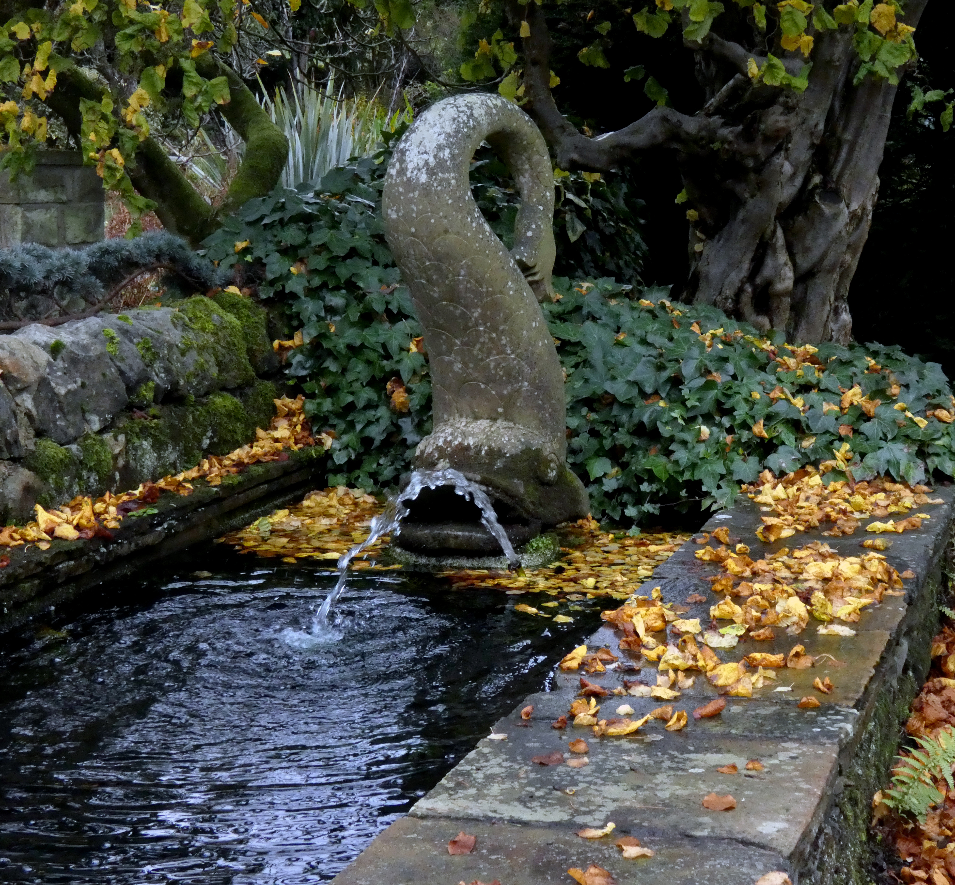 Water Feature, York Gate Garden, 18th November 2022