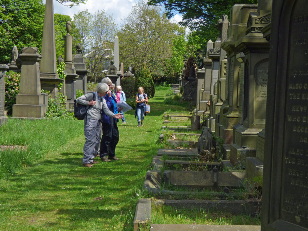 Looking At The Graves