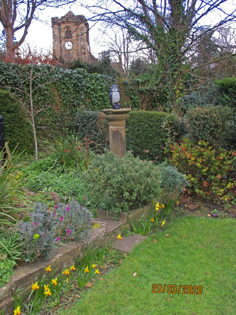 A Rawdon Garden