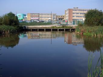 Reevy Mill Dam, looking towards Buttershaw High School