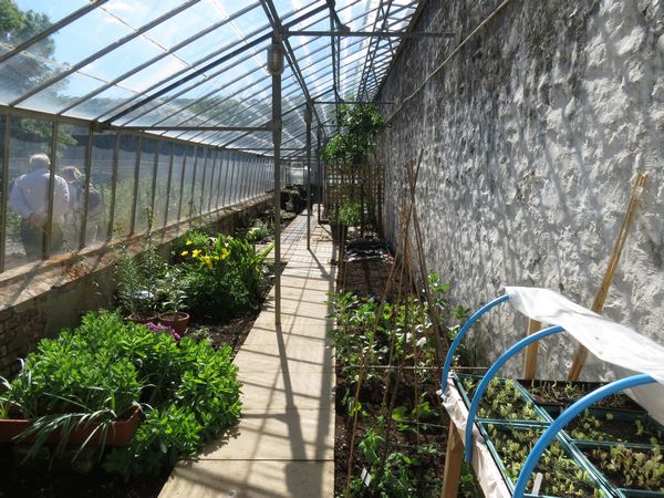 Greenhouse In The Walled Garden