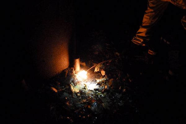 Firelighter; autumn charcoal burn, Oct 2012