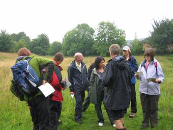 Saturday 6th August 2011: Trench Meadows