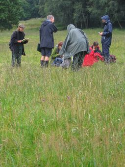 Saturday 6th August 2011: Trench Meadows