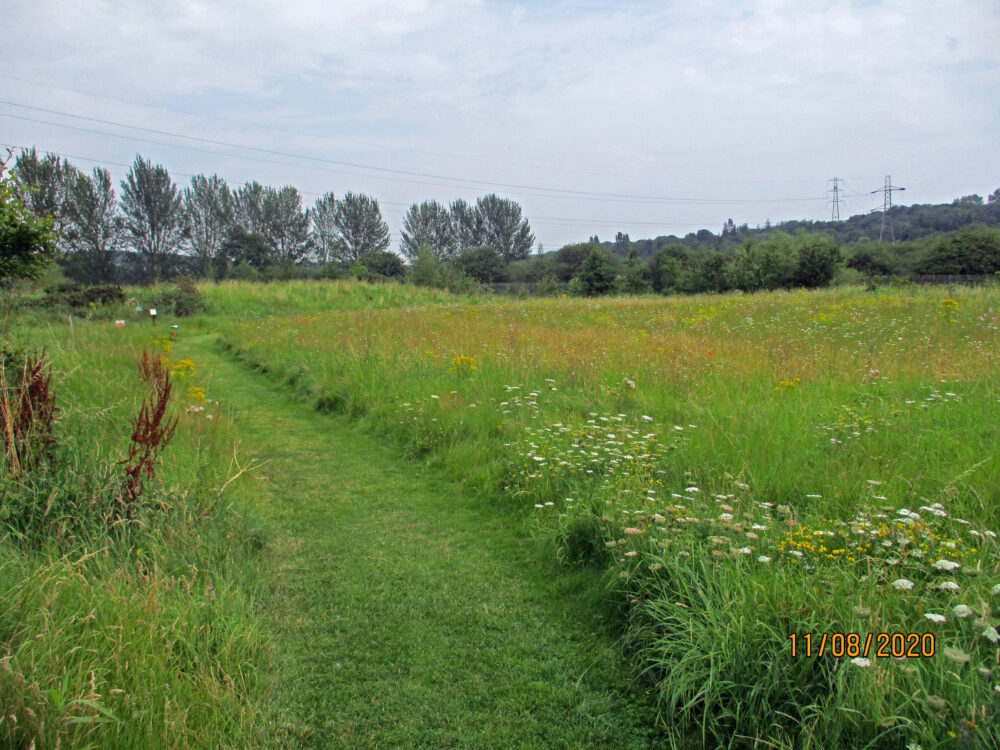 New Meadow, 11th August
