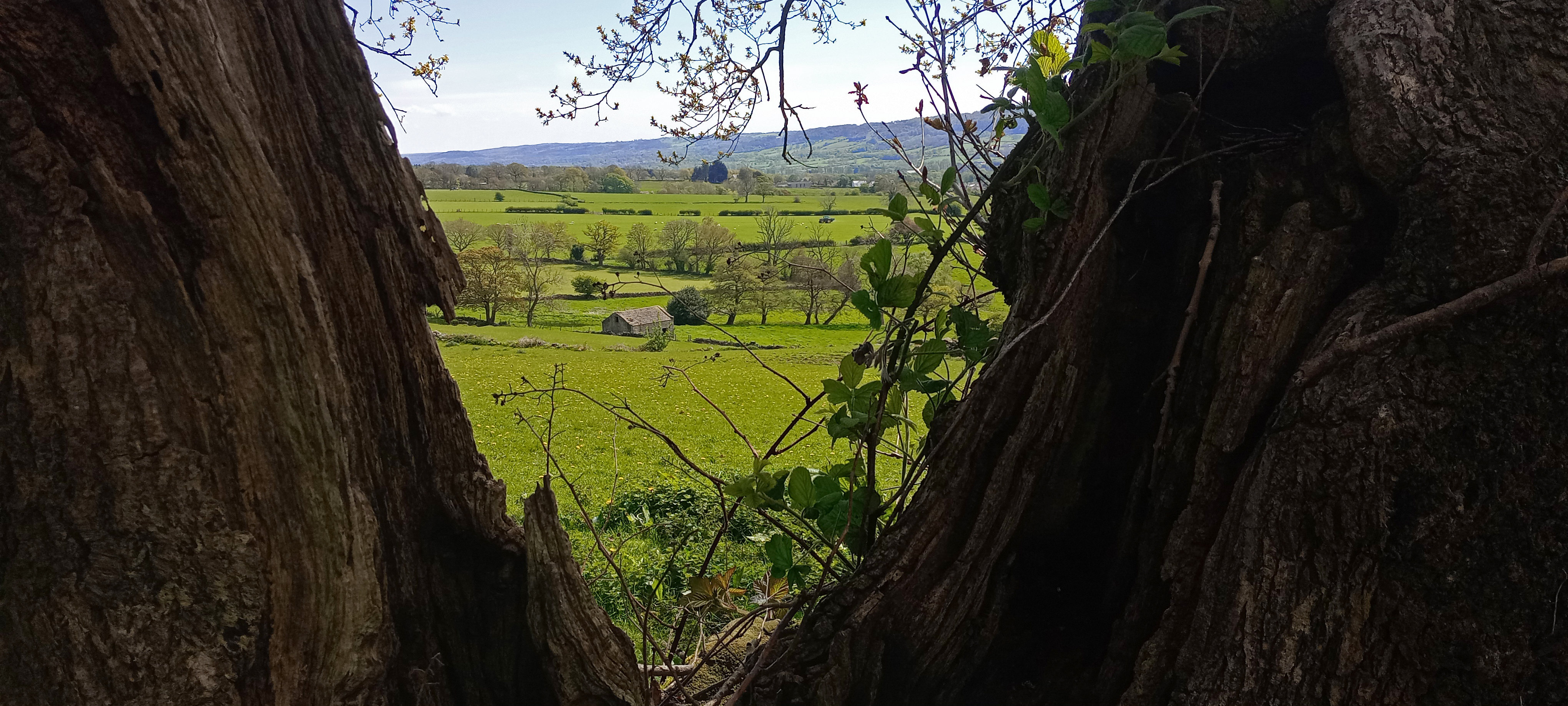 View From The Six Dales Trail, Near East Wood, Otley, 30th April 2024