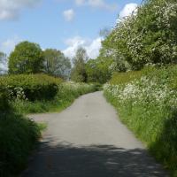 Hedgerows En Route To Rougemont Carr, 10th May 2022