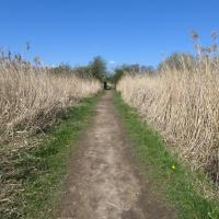Reserve Path, Staveley Nature Reserve, 18th April 2023