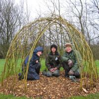 making a willow dome