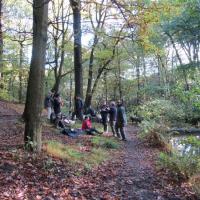 Friday 25th October 2013 Norcliffe Woods