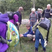 Hutton Roof outing June 2017