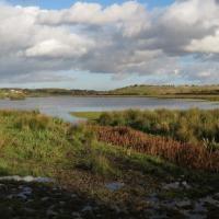 View From Lin Dike Hide