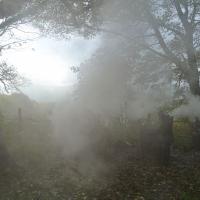 Smoke; autumn charcoal burn, Oct 2012