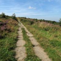 Uphill Path