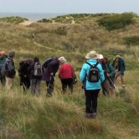 Group In The Sand Dunes