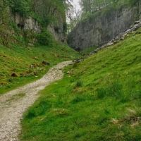 Trow Gill, Clapham, 14th May 2024