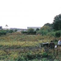 2005 derelict allotment plots