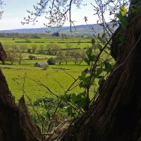 View From The Six Dales Trail, Near East Wood, Otley, 30th April 2024
