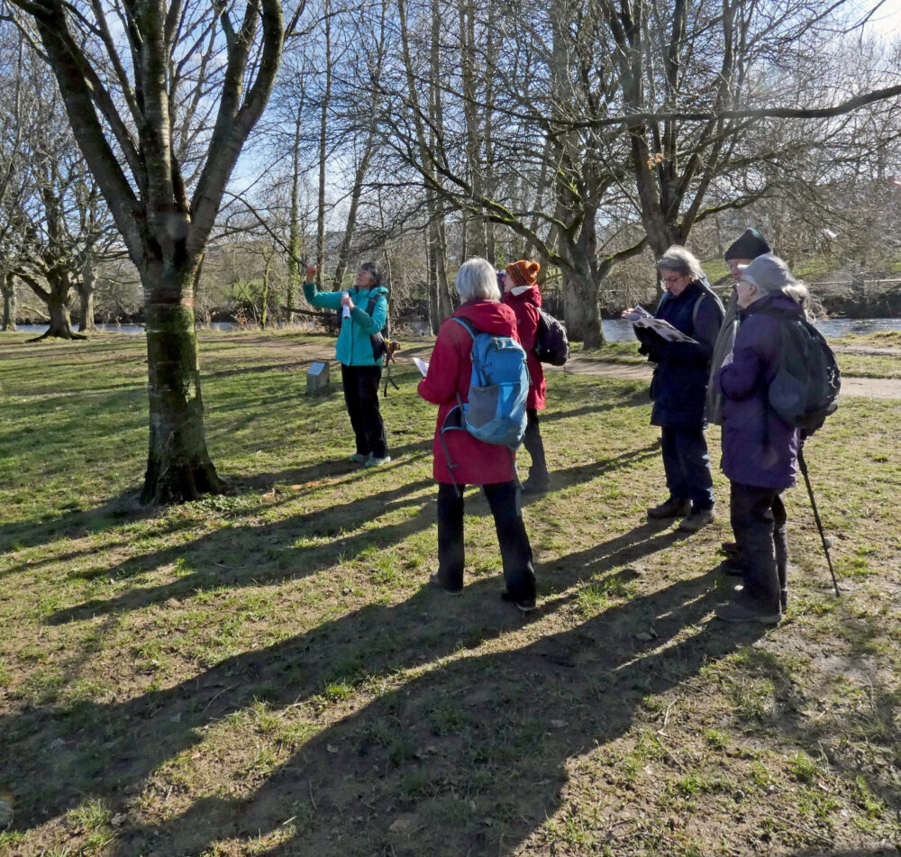 Looking at a Tree, Ilkley, 1st March 2022