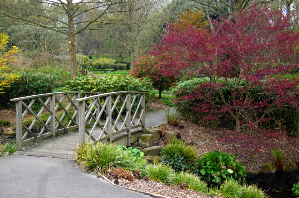 Brideg In Lister Park Botanical Garden