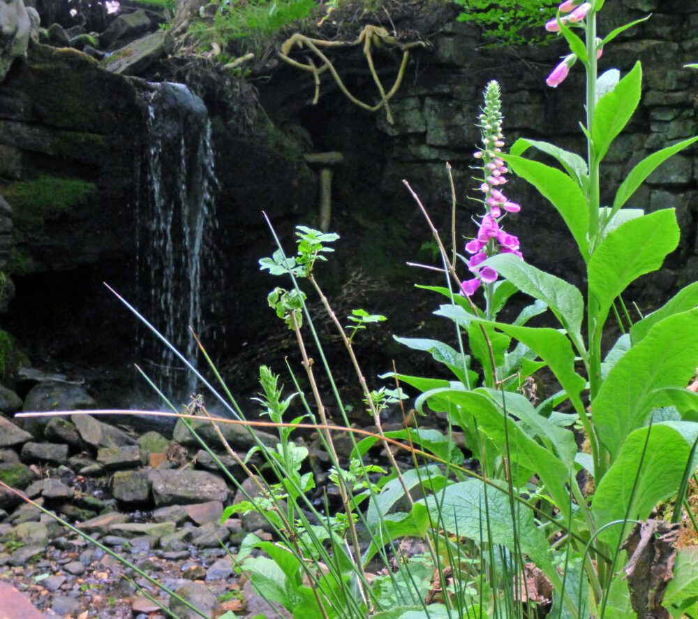 Small Waterfall, 6th June