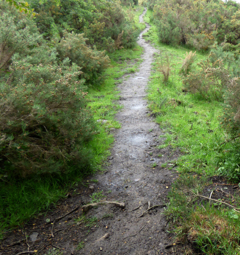 Uphill Path, 6th June