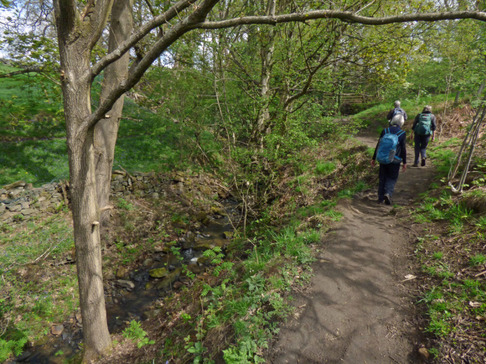 Path By The Stream, Baildon, 11th May 2021