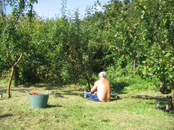 Fri 11 Sept 09 Bowling Park Community Orchard: Enjoying the sunshine