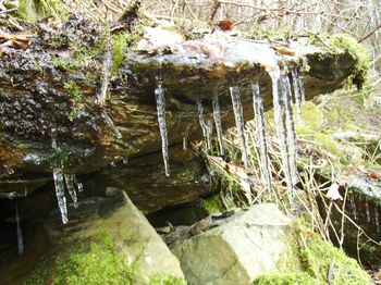 A spring on the site created icicles