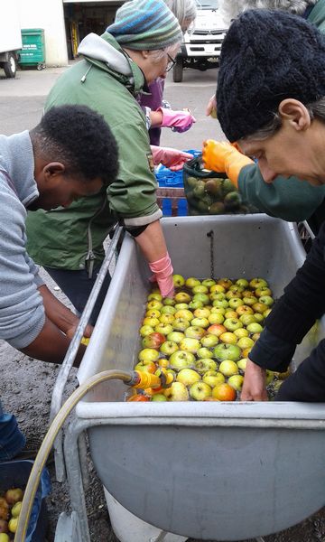 Juicing - Washing the apples