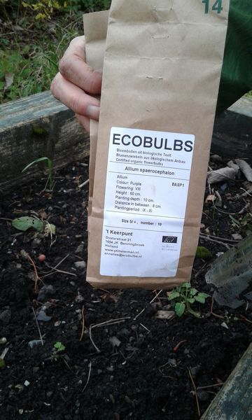 Ecobulbs