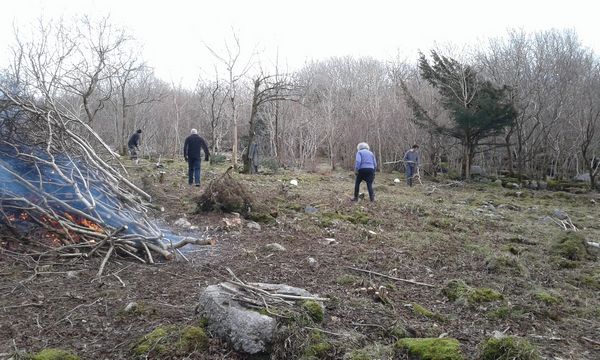 Clearing the site 