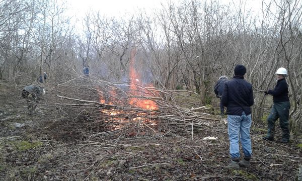 Fire getting started