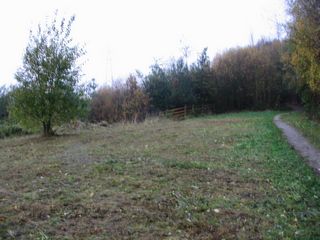 6th November 2009: Meadow area cut and raked