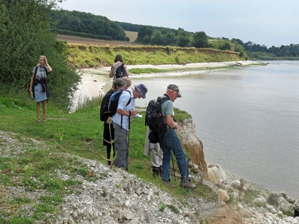 On The Bank Of The Estuary