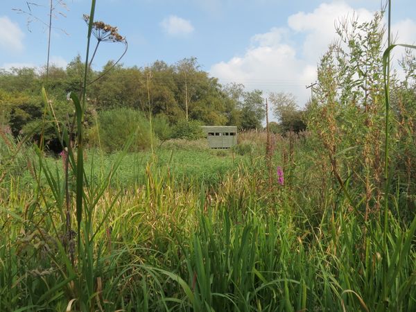Bird Hide At Caring For Life Nature Reserve