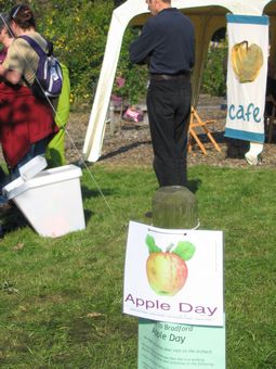 10th Apple Day 2010