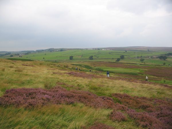 Baildon Moor, 2nd Sept 2011