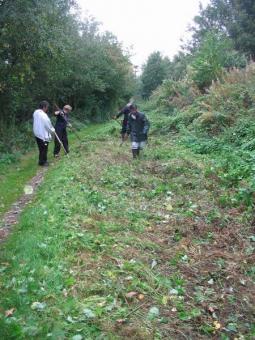 clearing the nettles and bindweed