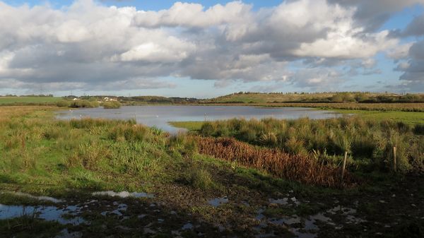 View From Lin Dike Hide