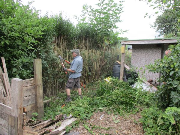 Cutting the hedge