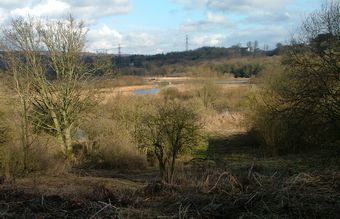 View Towards Rodley Nature Reserve