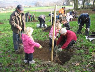 planting an orchard at Cavendish Primary School