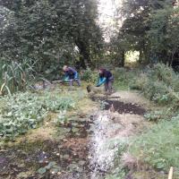 Pond clearance. 25 October. 2020,