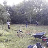 Clearing meadow with scythes