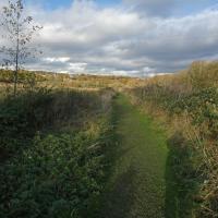 Path On Rodley Nature Reserve, 9th November 2021