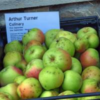 Arthur Turner, Apple Day 2021