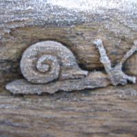 snail carving