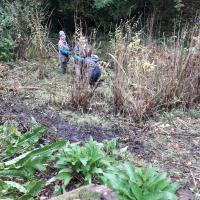pond clearing 