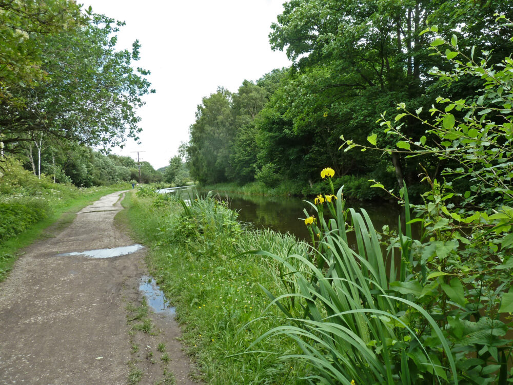 The Canal Heading Toward Leeds, 21st June